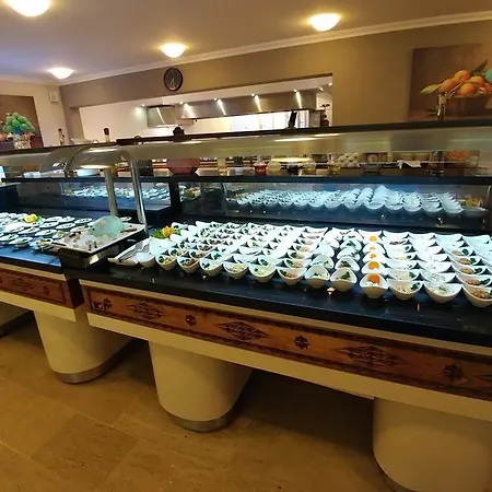土耳其俱乐部阿拉酒店 4* 达利安